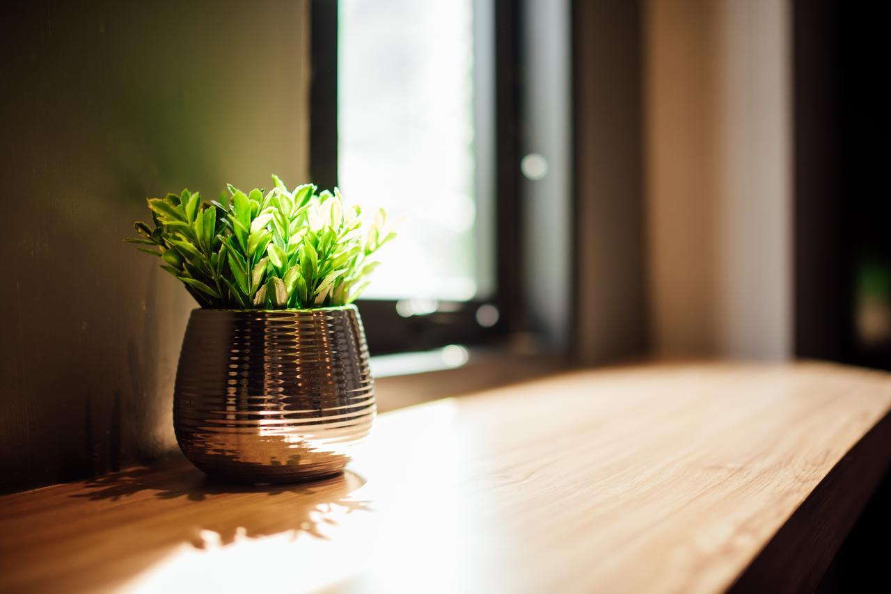 Hotel Le Terrarium Bed & Sleep Chiang Rai Zewnętrze zdjęcie